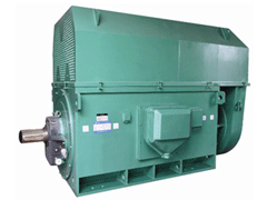 Y5603-4/2000KWY系列6KV高压电机